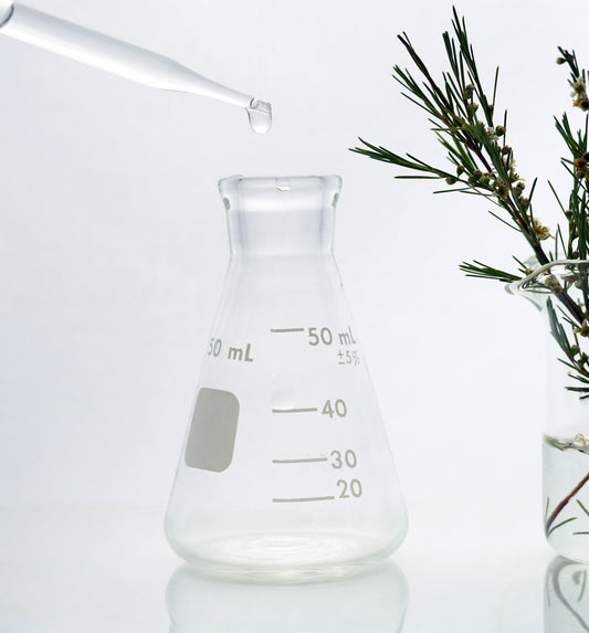 Cosmetic Ingredient Safety